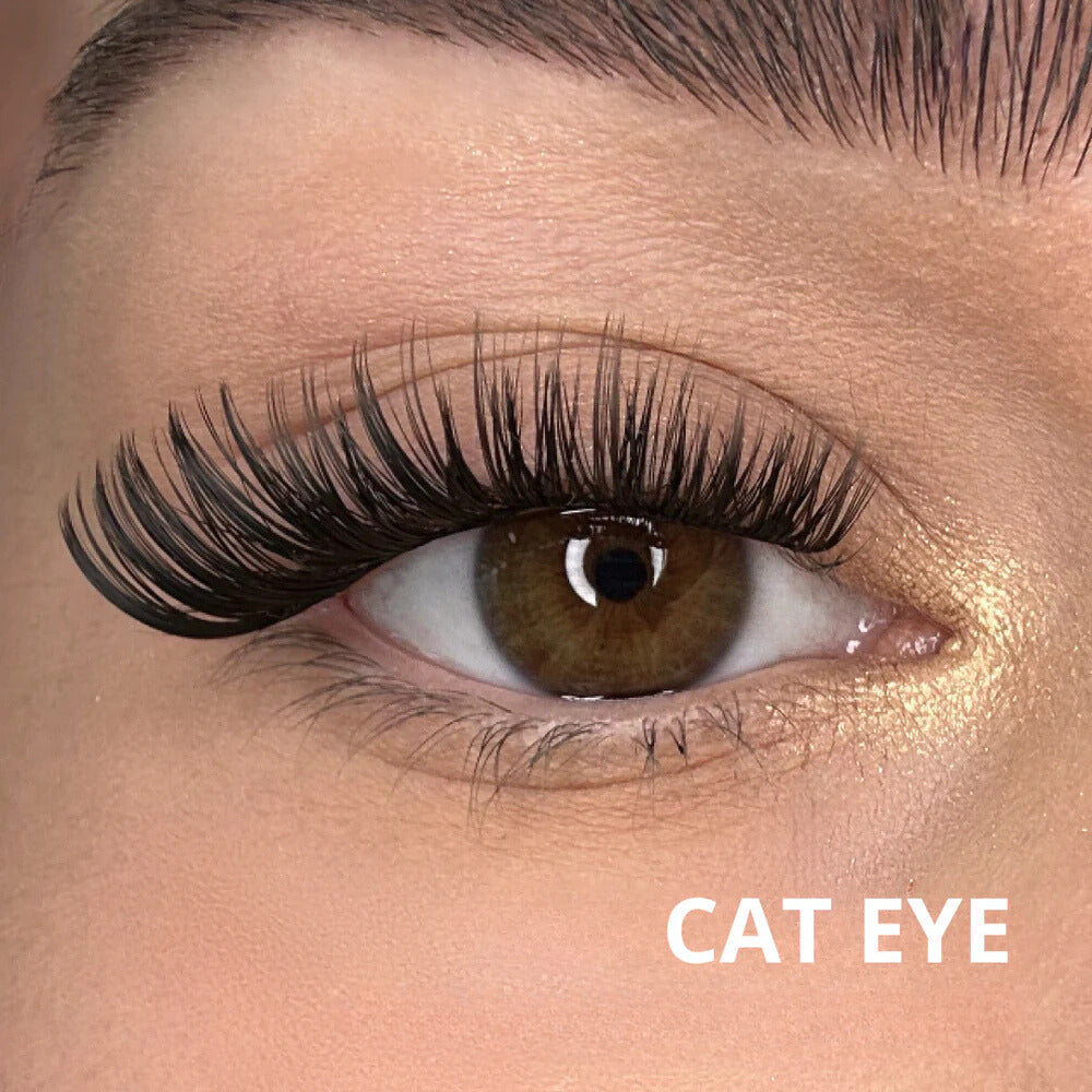 KIT FAUX CILS ALDIVINA